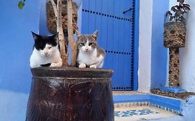 Riad Chourafa